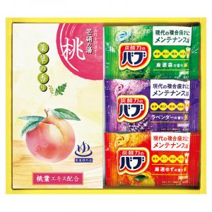 炭酸力の薬用入浴剤セット BB10